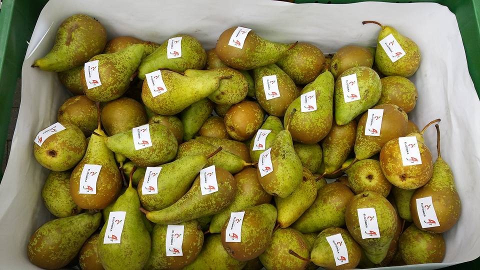 Hurtownia warzyw i owoców Elizówka to miejsce, w którym znajdziesz najlepszej jakości produkty